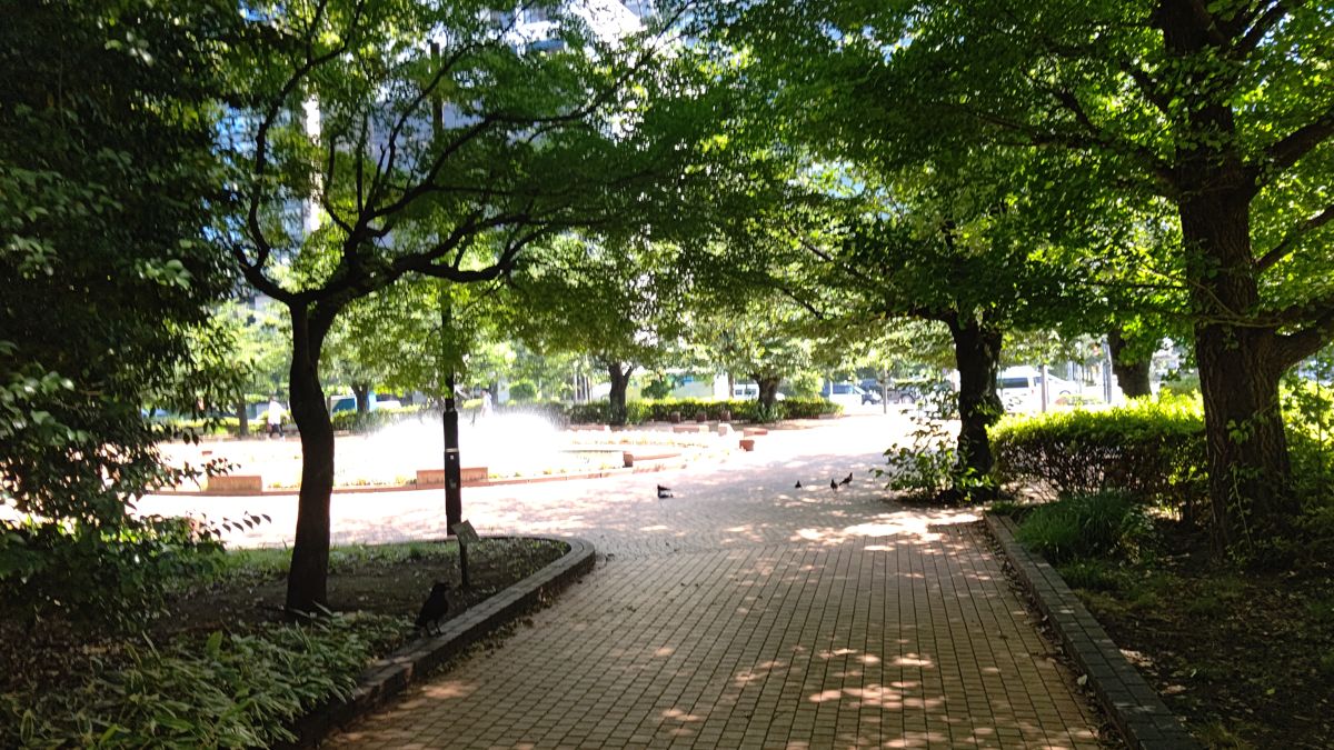 木陰の向こうに噴水と円形の花壇があり、地面に木漏れ日が落ちている