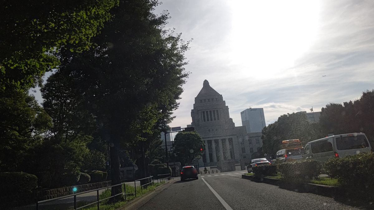 正門へ向かう道の先に国会議事堂の中央塔が立つ。左手に大きなイチョウ、右手に植え込みと濃い緑の木々