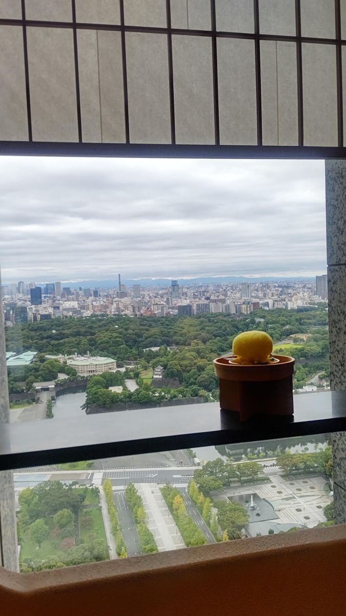 高層階の窓から見下ろした皇居の森。緑の奥に都心のビル群が広がる