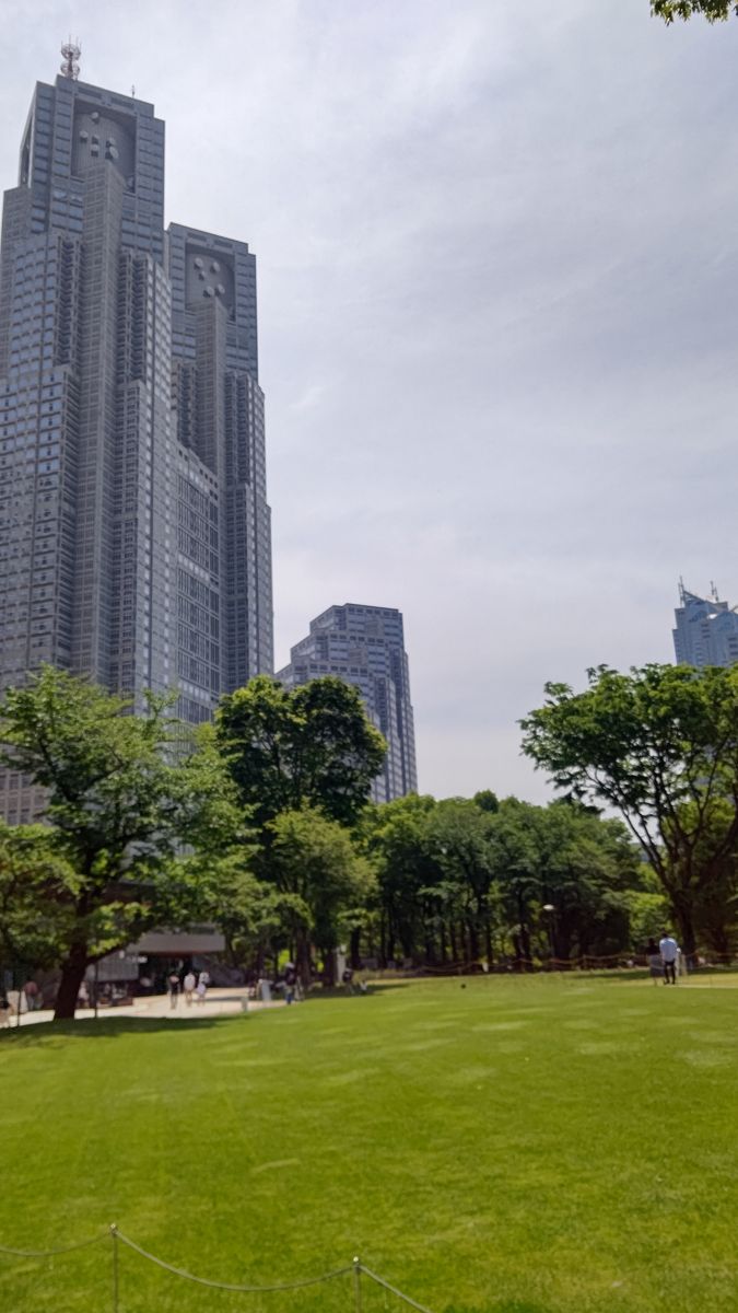 広い芝生の向こうに新緑の木々と東京都庁の高層ビルが立つ