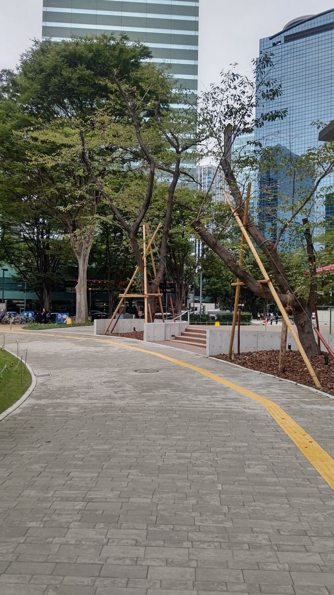 高層ビルの足元の園路沿いに、木の支柱で支えられた植えたばかりの木が並ぶ