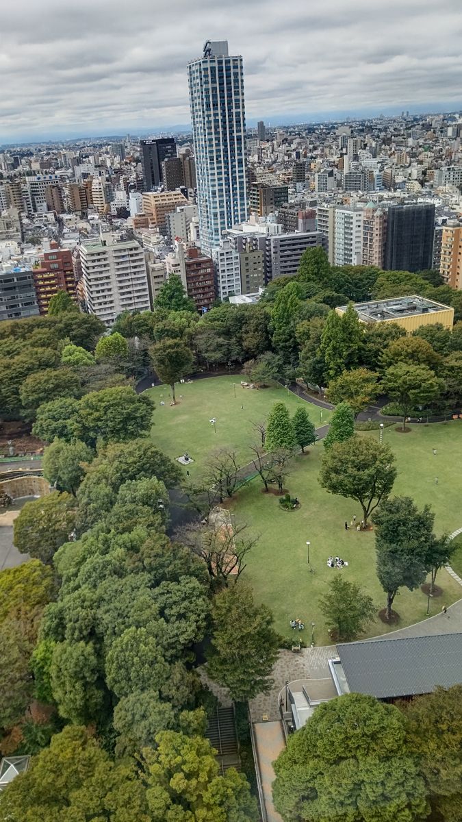 高い所から見下ろした公園。芝生の広場のまわりを木々が囲み、奥に住宅とビルが広がる